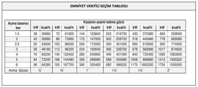CASE -  1''  Dış Dişli Emniyet Ventili 2,5 Bar