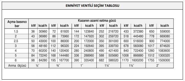 CASE - 1'' İç Dişli Emniyet Ventili 2,5 Bar