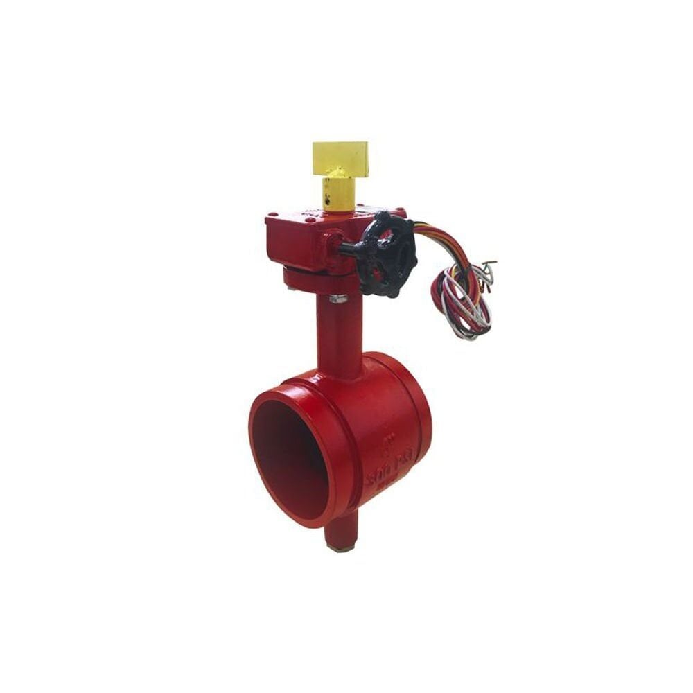 Duyar Supervised Butterfly Valve, Grooved