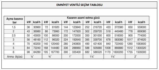 CASE 3/4'' Dış Dişli Emniyet Ventili