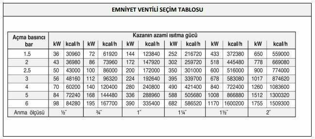 CASE - 1 1/4''  İç Dişli  Emniyet Ventili