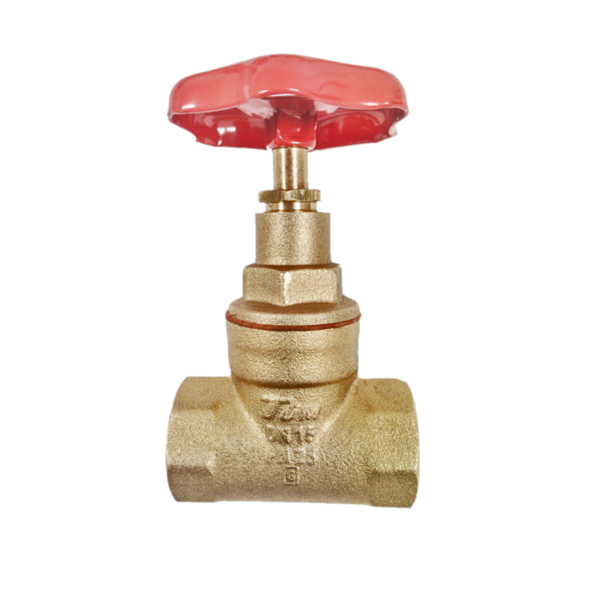 KLEPSAN - Şiber Vana