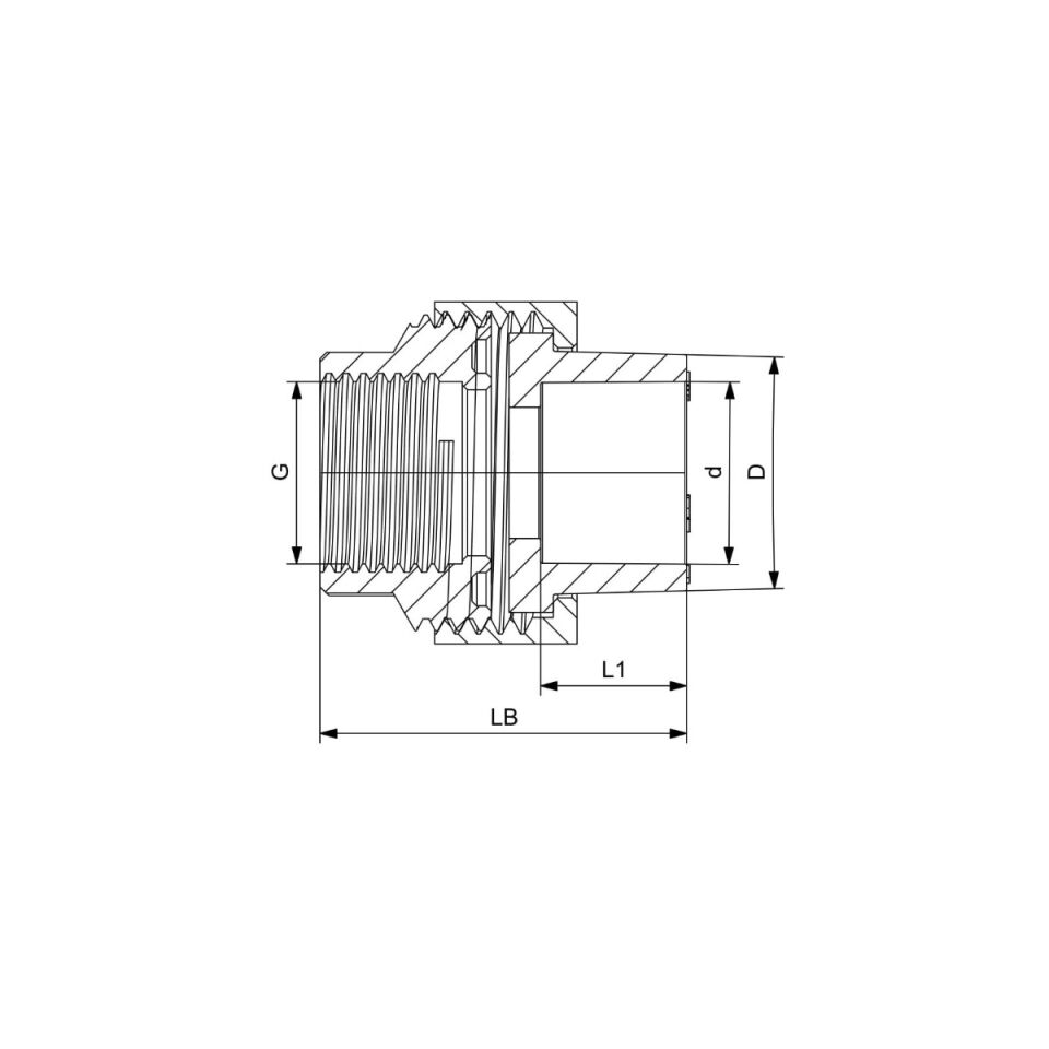 GF+ Aquasystem PP-R Female Threaded Transition Union with Loose Nut (Hexagon)