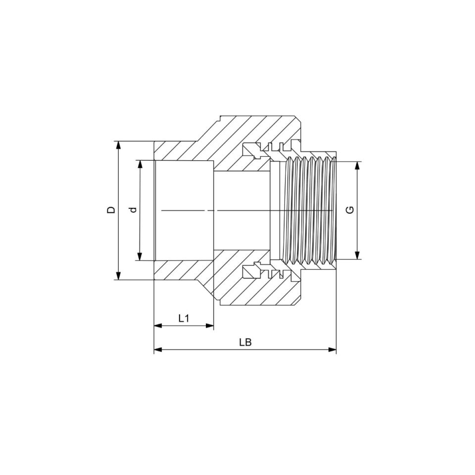 GF+ Aquasystem PP-R Female Threaded Adapter (Hexagon)